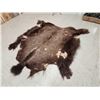 Image 1 : American Bison Buffalo Soft Tanned Robe Taxidermy