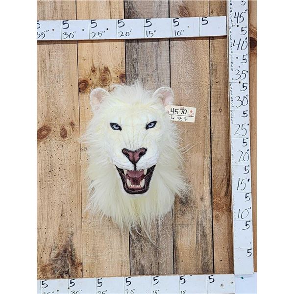 African White Lion Reproduction Shoulder Mount Taxidermy