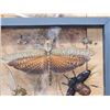 Image 2 : Frame Of 11 Peruvian Insects Taxidermy