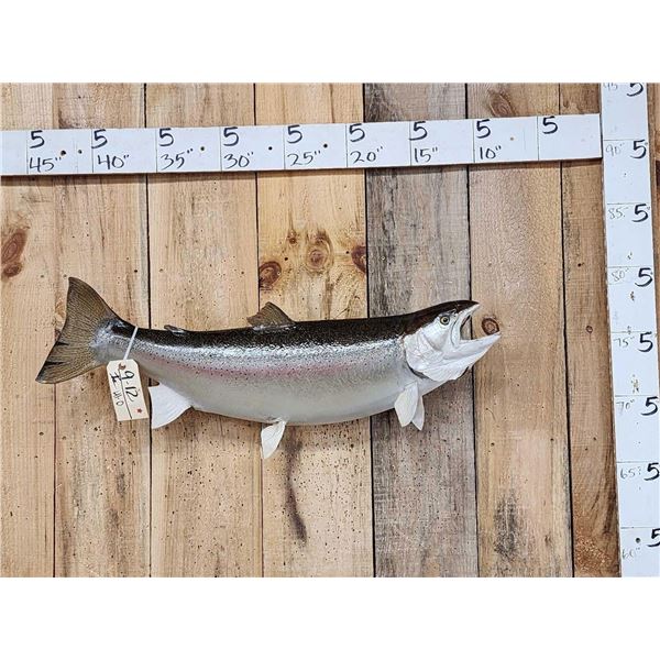 35" Rainbow Trout Real Skin Fish Taxidermy