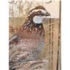 Image 9 : Male & Female Quail In A Table Top Lamp Bird Taxidermy
