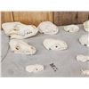 Image 6 : Small Animal Skulls Lot