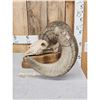 Image 3 : Giant Reproduction Desert Bighorn Sheep Skull Taxidermy