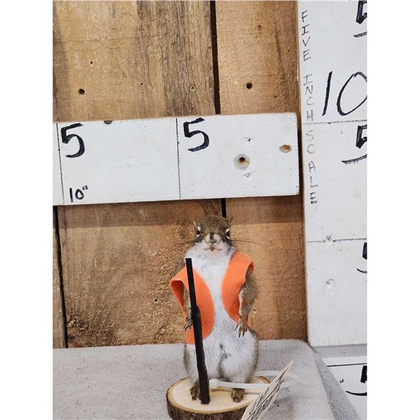Hunting Squirrel Full Body Taxidermy Mount