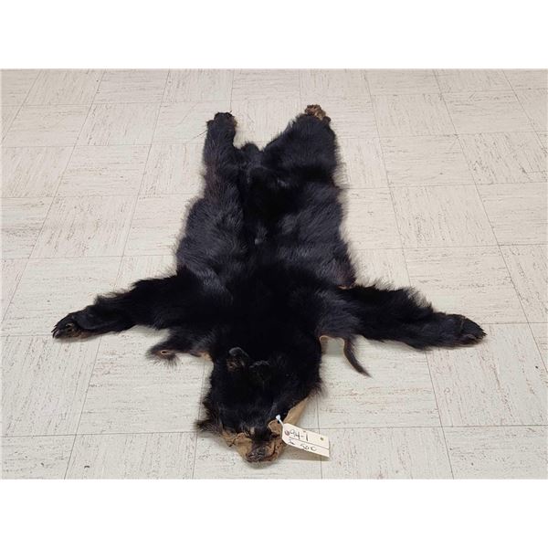 Tanned Black Bear Skin Taxidermy