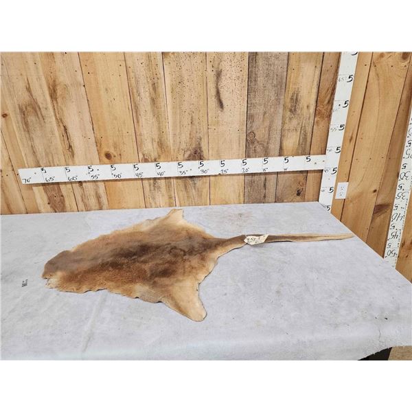 Kangaroo Soft Tanned Fur