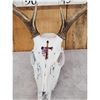 Image 6 : 5 Decorated Whitetail Skulls Taxidermy