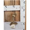 Image 1 : Diamondback Rattlesnake Full Body Taxidermy Mount