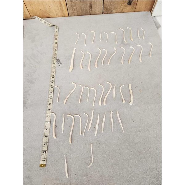 Small Game Baculum Lot