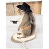 Image 3 : Sheriff Squirrel Full Body Taxidermy Mount