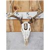 Image 6 : 3 Painted Whitetail Skulls Taxidermy