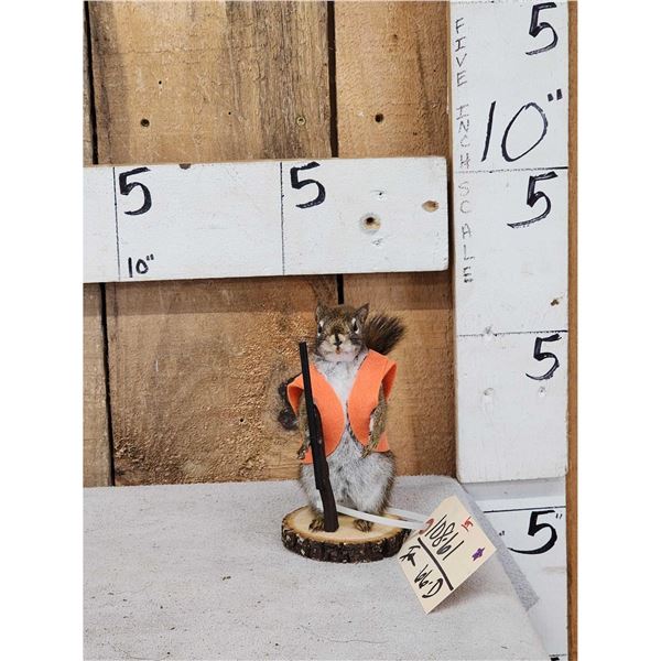 Hunting Squirrel Full Body Taxidermy Mount