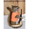 Image 3 : Hunting Squirrel Full Body Taxidermy Mount