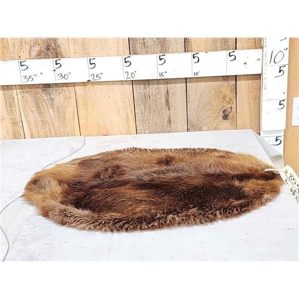 Soft Tanned Beaver Skin Taxidermy