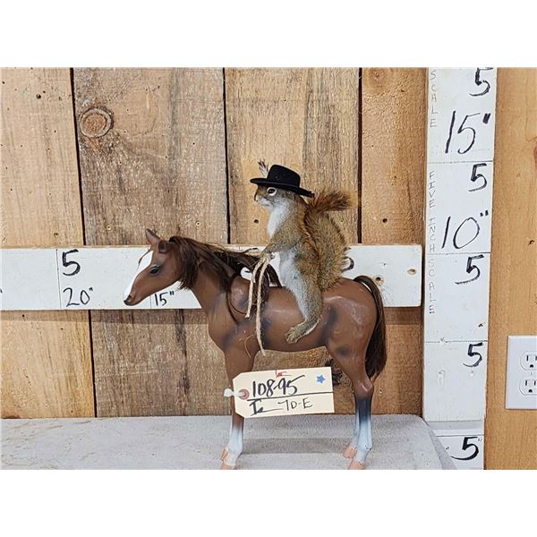 Rodeo Squirrel On A Horse Taxidermy