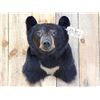 Image 2 : Black Bear Shoulder Mount Taxidermy
