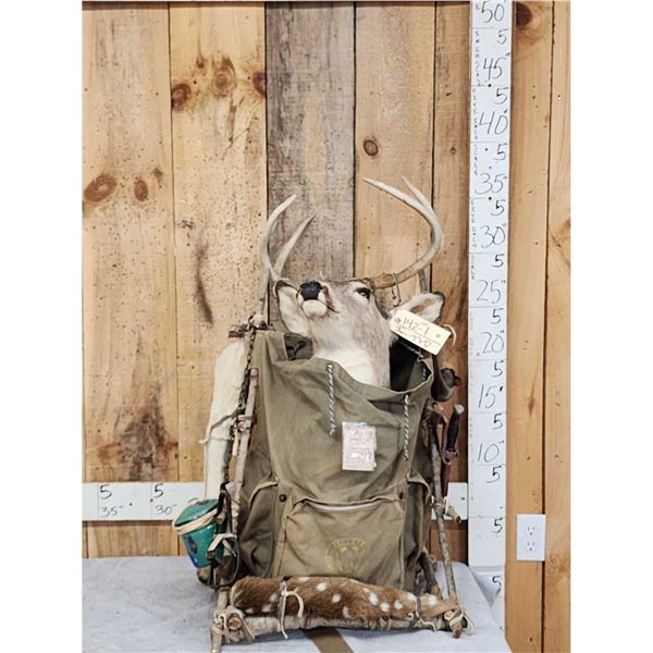 Whitetail Deer Pack Out Taxidermy Mount
