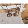 Image 2 : Pair Of Diamondback Rattlesnakes Taxidermy