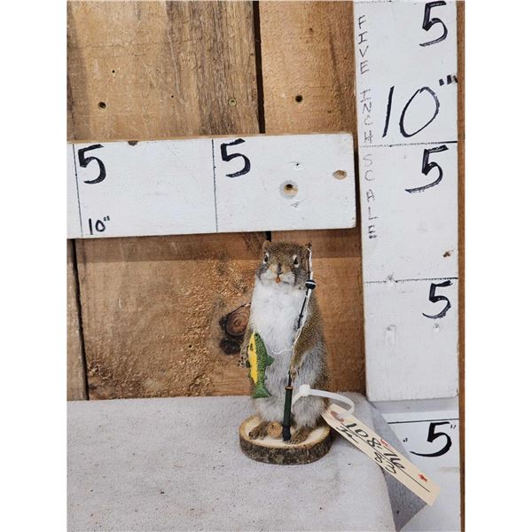 Fishing Squirrel Taxidermy Mount