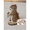 Image 3 : Fishing Squirrel Taxidermy Mount