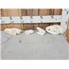 Image 5 : Small Animal Skulls Lot Taxidermy