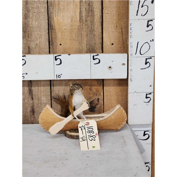 Squirrel In A Birch Bark Canoe Taxidermy