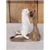 Image 2 : Weasel On Driftwood Taxidermy Mount