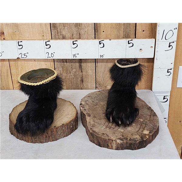 Vintage Black Bear Paw Ash Tray & Coin Holder Taxidermy