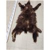 Image 3 : Brown Phase Black Bear Soft Tanned Fur