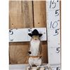 Image 1 : Sheriff Squirrel Full Body Taxidermy Mount