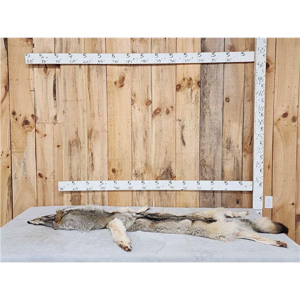 Big Canadian Wolf Soft Tanned Fur