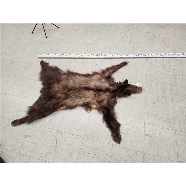 Brown Phase Black Bear Soft Tanned Fur Taxidermy