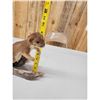 Image 6 : Weasel On Driftwood Taxidermy