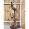 Image 1 : Rooster & Hen Ringneck Pheasants Taking Flight Bird Taxidermy