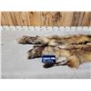 Image 3 : 2 Ranch Fox Soft Tanned Furs Taxidermy