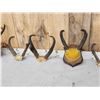 Image 3 : 6 Sets Of Pronghorn Antelope Horns Taxidermy