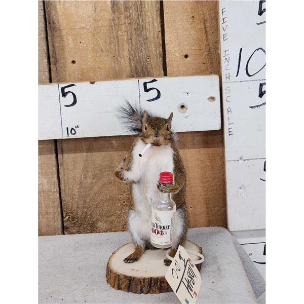 Naughty Squirrel Full Body Taxidermy Mount