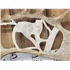 Image 2 : Hand Carved Mountain Lion In Moose Antler