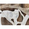 Image 3 : Hand Carved Mountain Lion In Moose Antler
