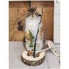Image 2 : Fishing Squirrel Full Body Taxidermy Mount