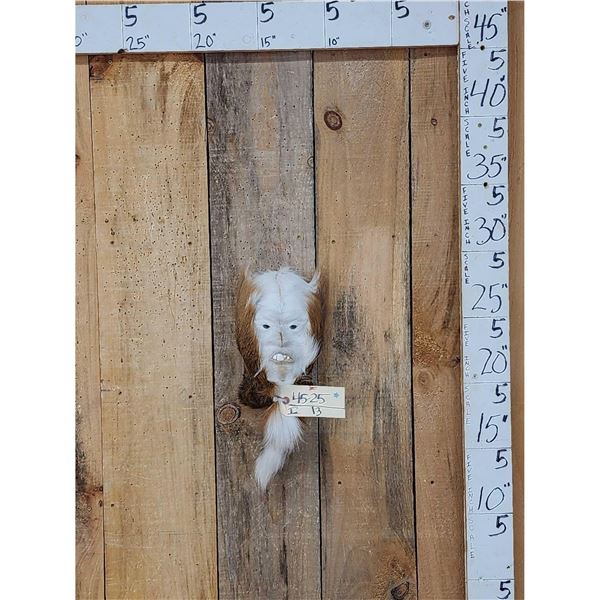 Swamp Monster Shoulder Mount Taxidermy