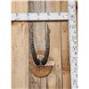 Image 1 : African Roan Antelope Horns On Plaque