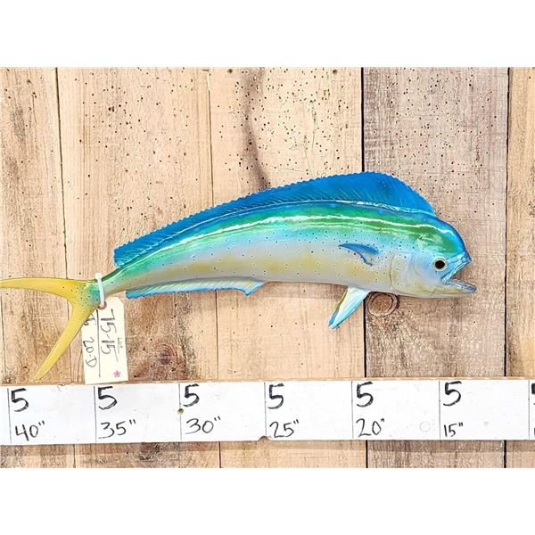 27" Mahi Mahi Reproduction Fish Taxidermy