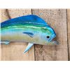 Image 2 : 27" Mahi Mahi Reproduction Fish Taxidermy