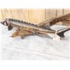 Image 3 : 32" Sturgeon Real Skin Fish Taxidermy