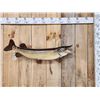 Image 1 : 39" Northern Pike Real Skin Fish Taxidermy