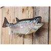 Image 2 : 32" Rainbow Trout Real Skin Fish Taxidermy