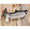 Image 4 : 32" Rainbow Trout Real Skin Fish Taxidermy