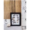 Image 1 : 10 Black Bear Claws In Frame Taxidermy