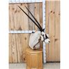 Image 2 : African Gemsbok Pedestal Taxidermy Mount